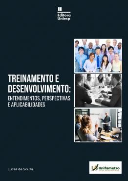 Capa para TREINAMENTO E DESENVOLVIMENTO:  ENTENDIMENTOS, PERSPECTIVAS E APLICABILIDADES