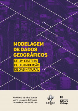 Capa para Modelagem de Dados Geográficos de um Sistema de Distribuição de Gás Natural